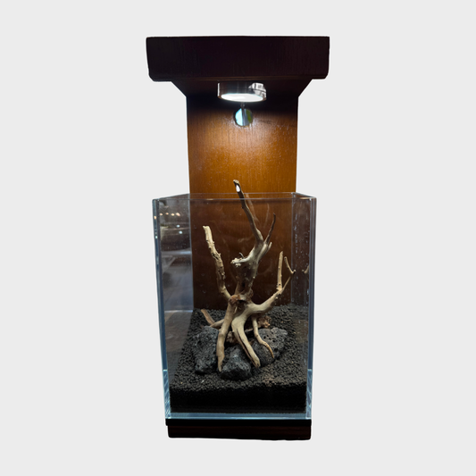 1212 Betta Tank Spiderwood