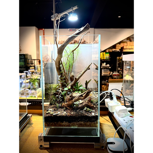 2035 Glass Air Terrarium With SS Light Stand