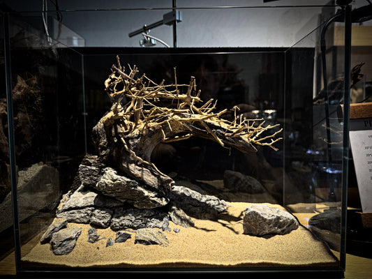 36P Bonsai Scape (No Equipment)