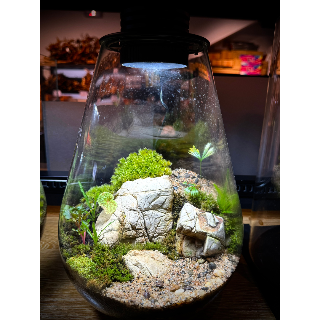 Bioloark SD200 Setup B