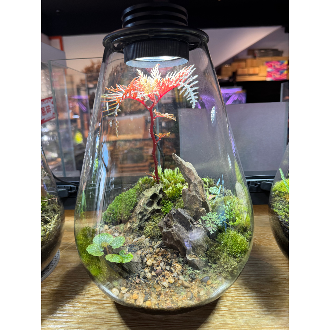 Bioloark SD200 Setup A