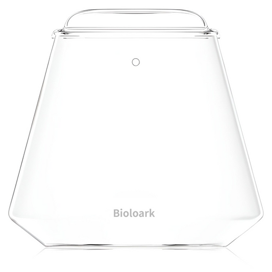 Bubble Cup TWO