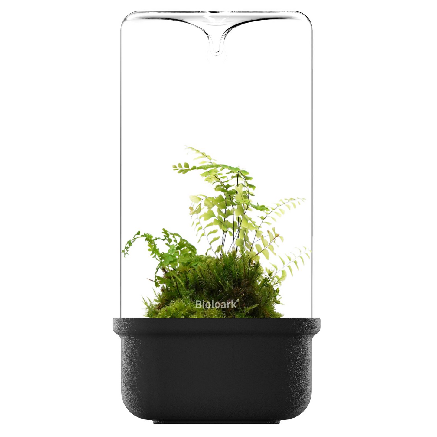 Bioloark Luji Glass Cup MH