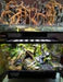 Scaping Foam