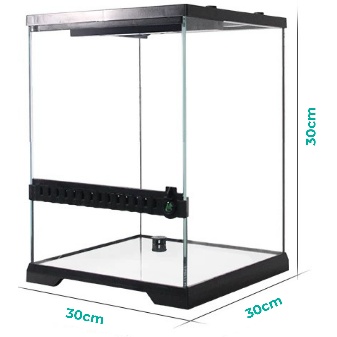 MIUS Terrarium Tank