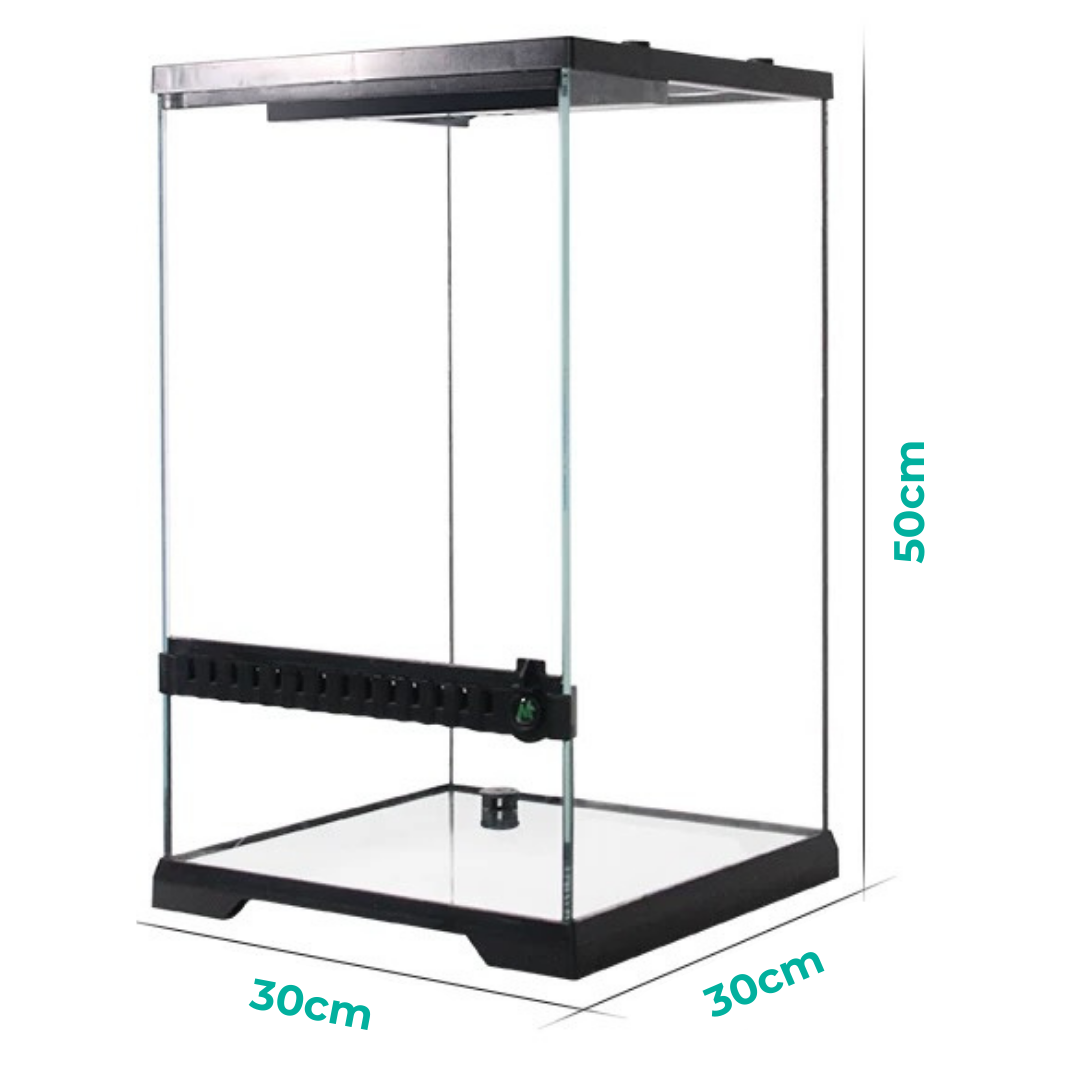 MIUS Terrarium Tank