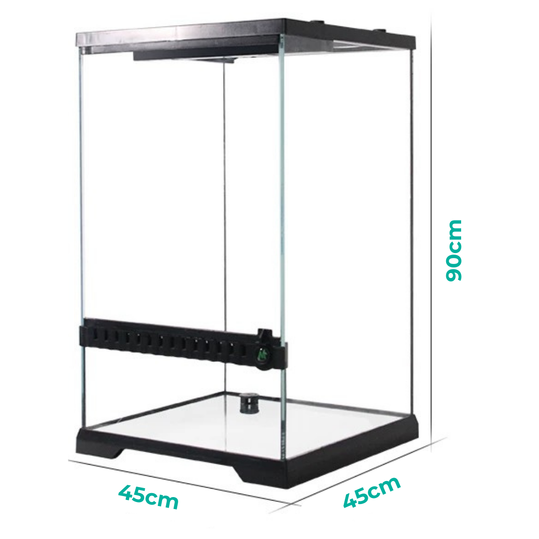 MIUS Terrarium Tank