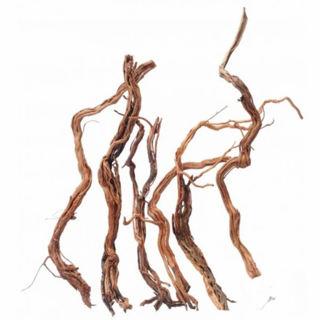 Rama Twisted Root Branches