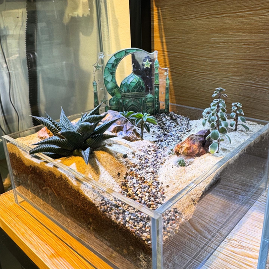 Sahara Desert Terrarium