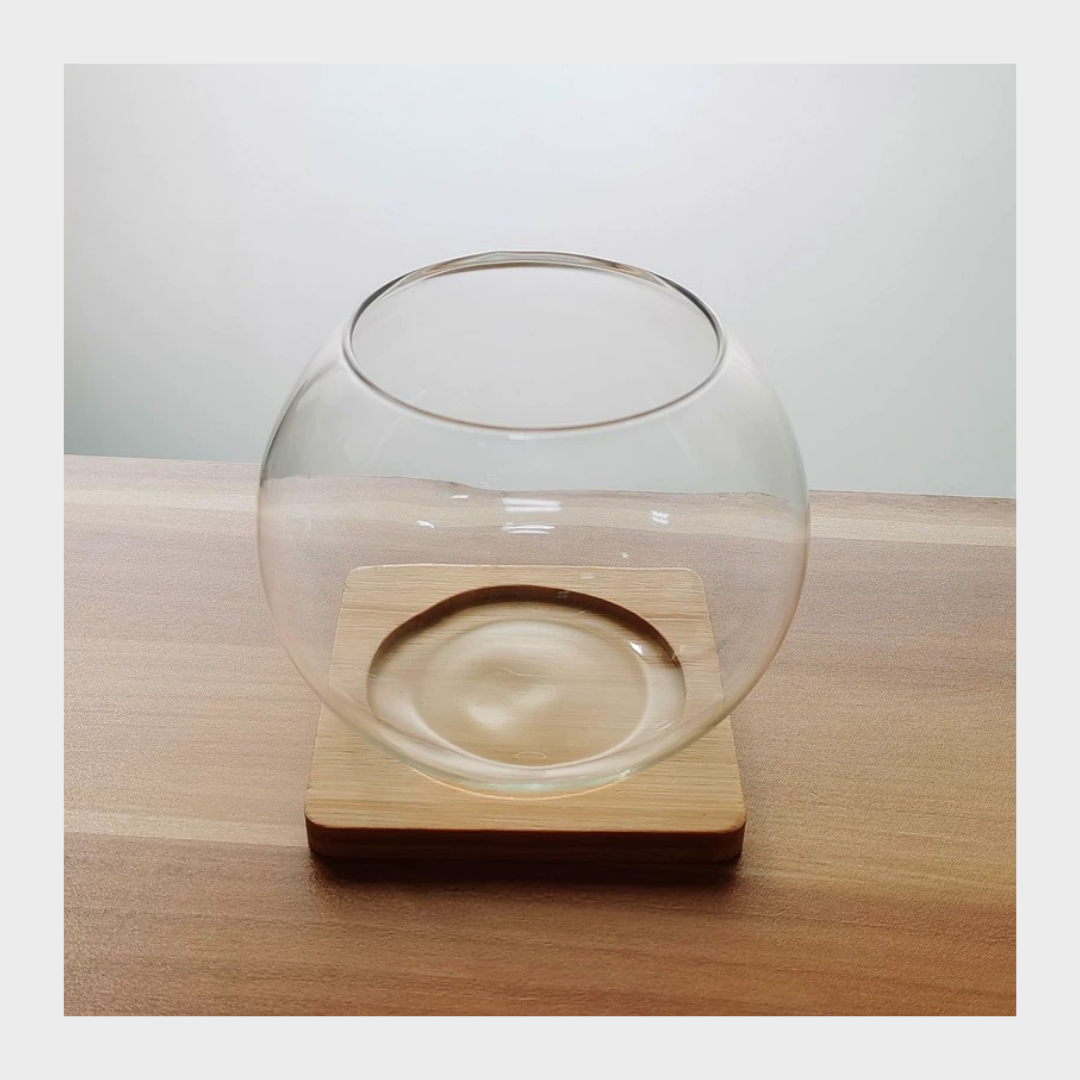 Terrarium Glass Bowl