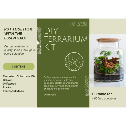 DIY Small Terrarium Starter Kit