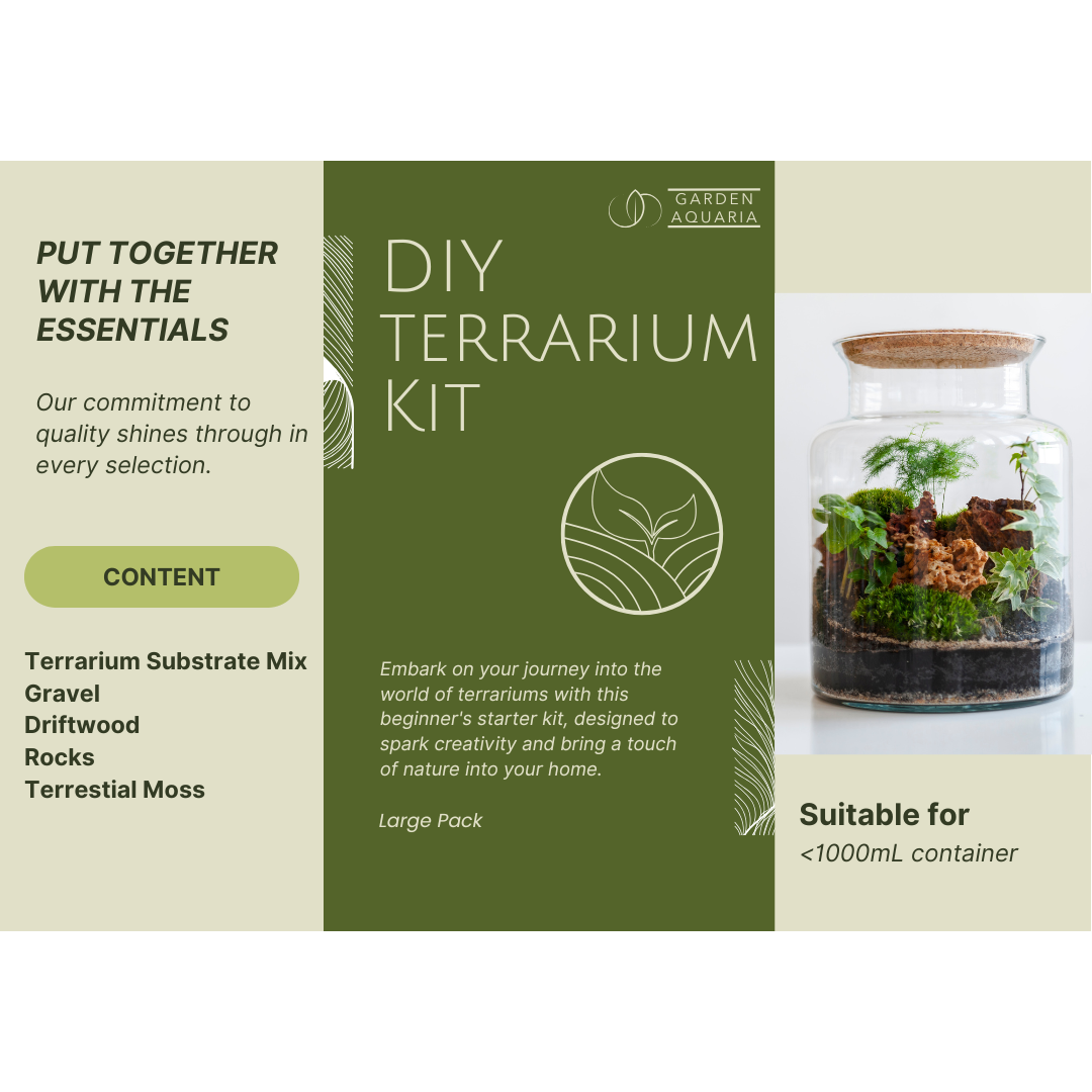 DIY Large Terrarium Starter Kit