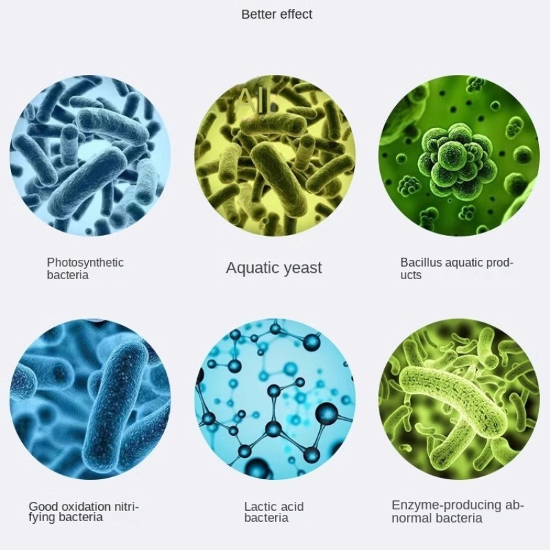 Voonline Nitrifying Bacteria Capsule