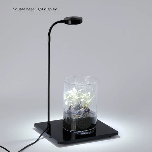Wabi Kusa LED with Stand
