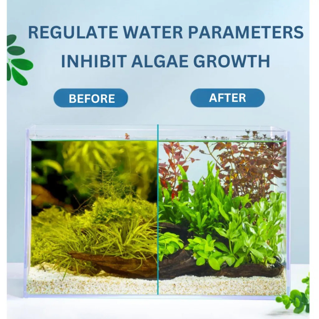 YEE Decontamination Water Purifier