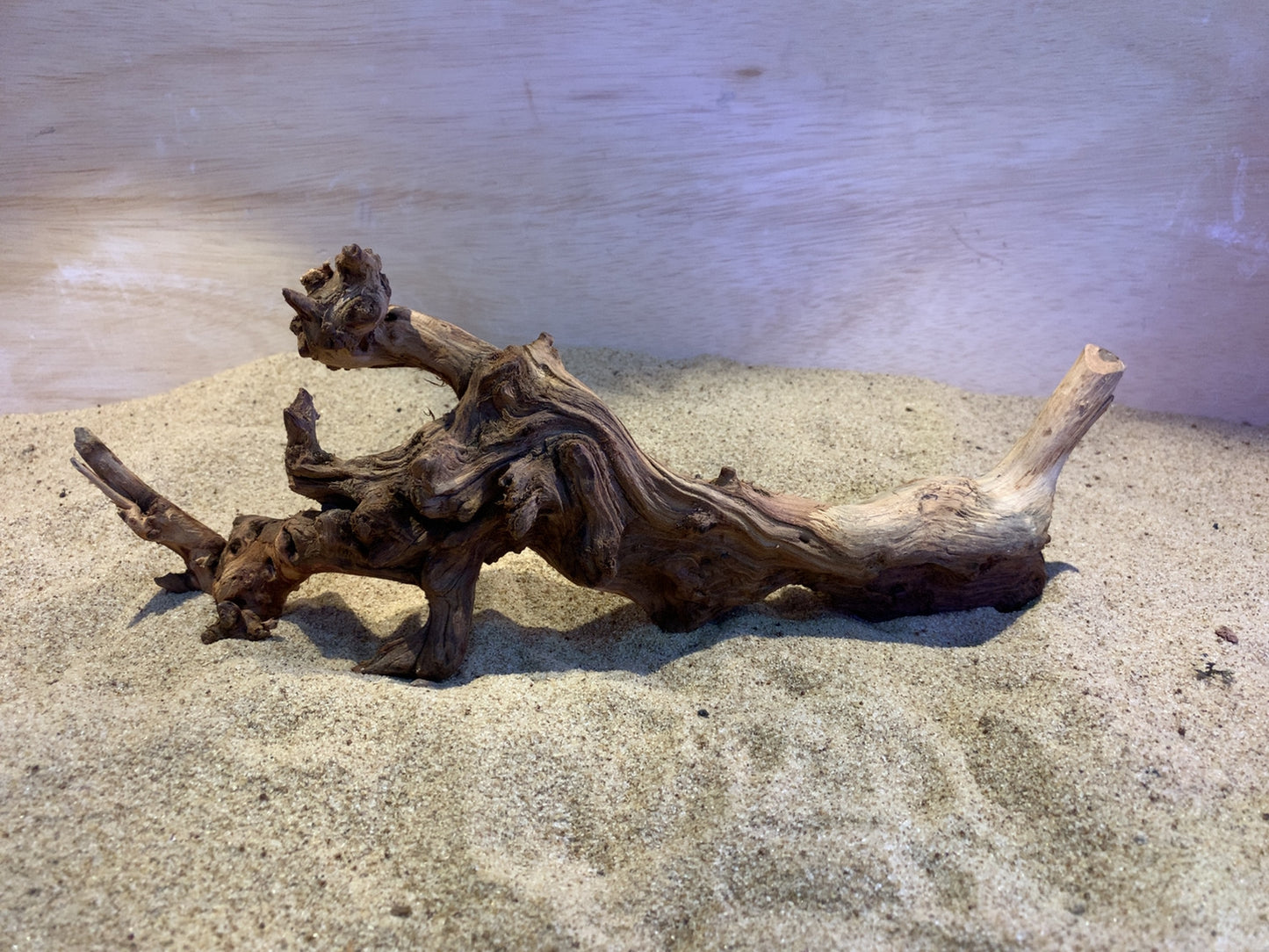 Mopani Wood C11