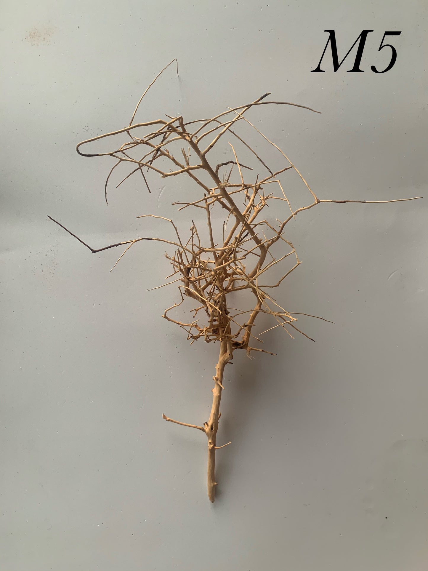 Scaping Twigs Medium (20-30cm)