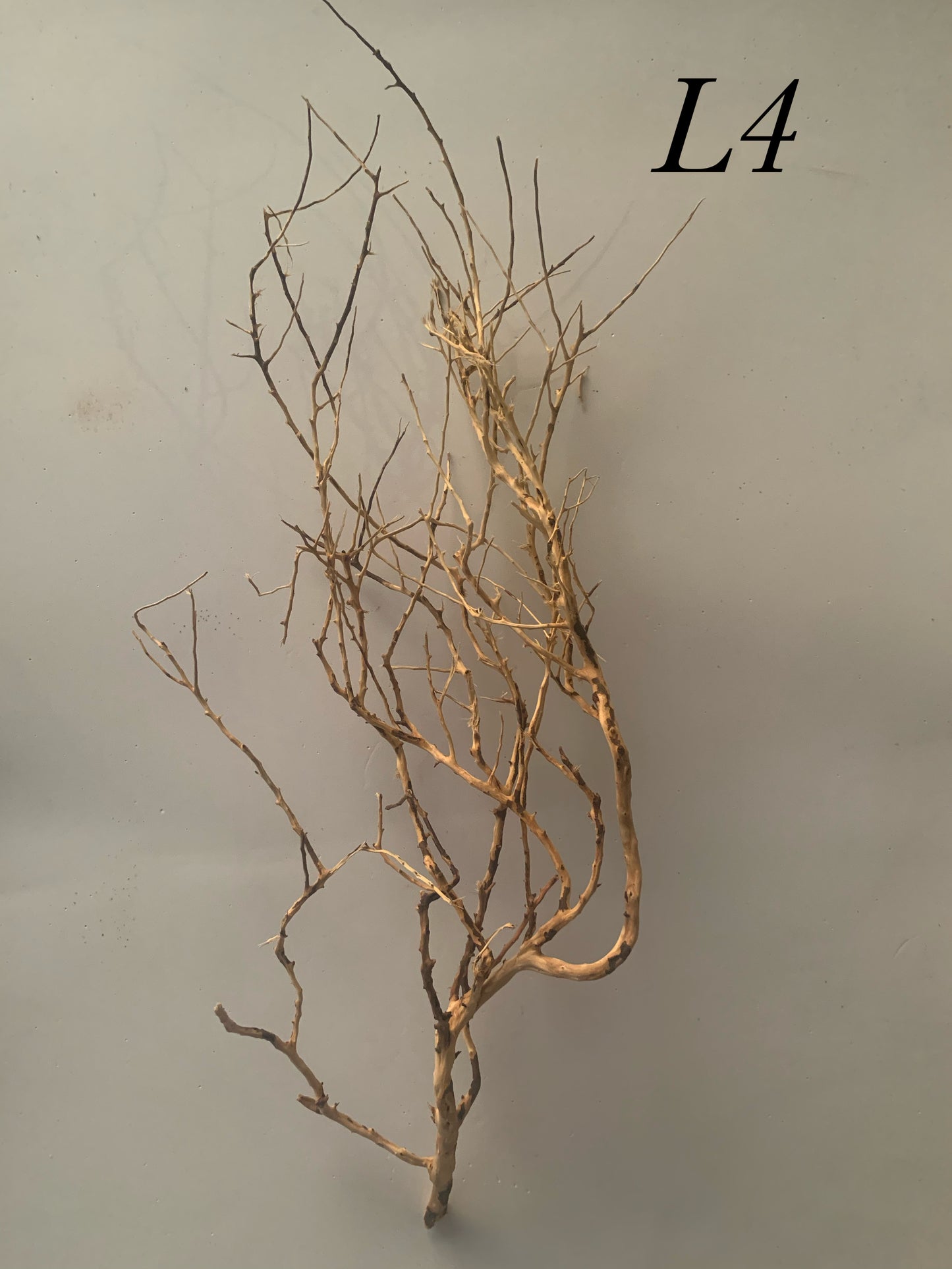 Scaping Twigs Large (30-40cm)