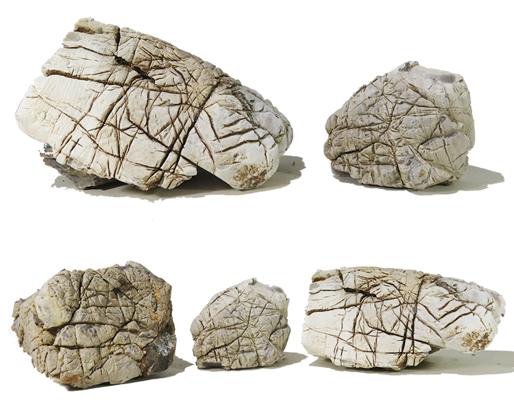 Elephant Skin Stone