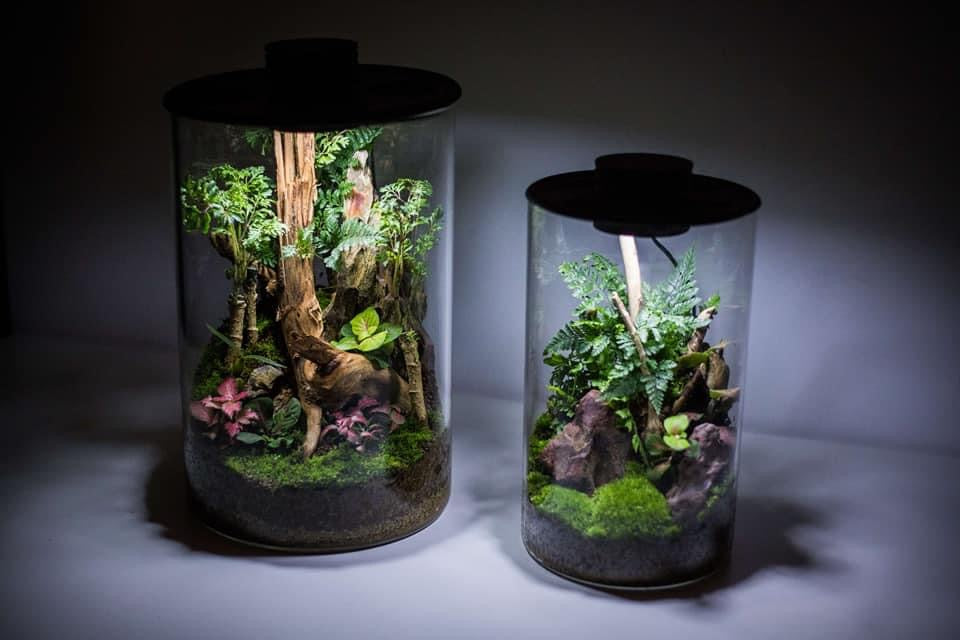 Bioloark Bio Bottle ZD150