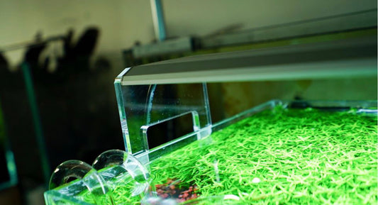 Chihiros Acrylic Stand for RGB A Plus Aquarium Lightning
