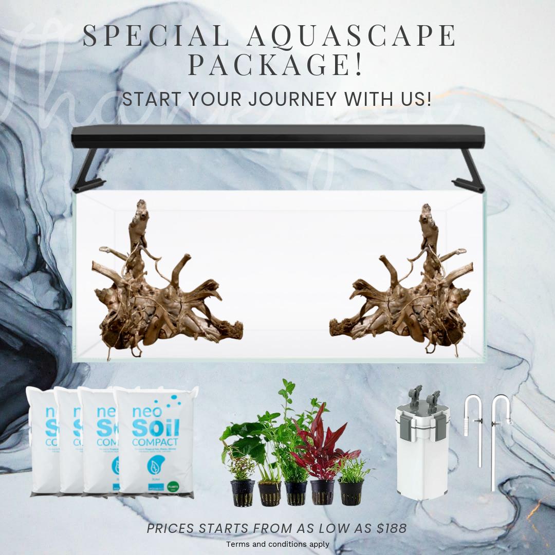 Special Aquascape Package