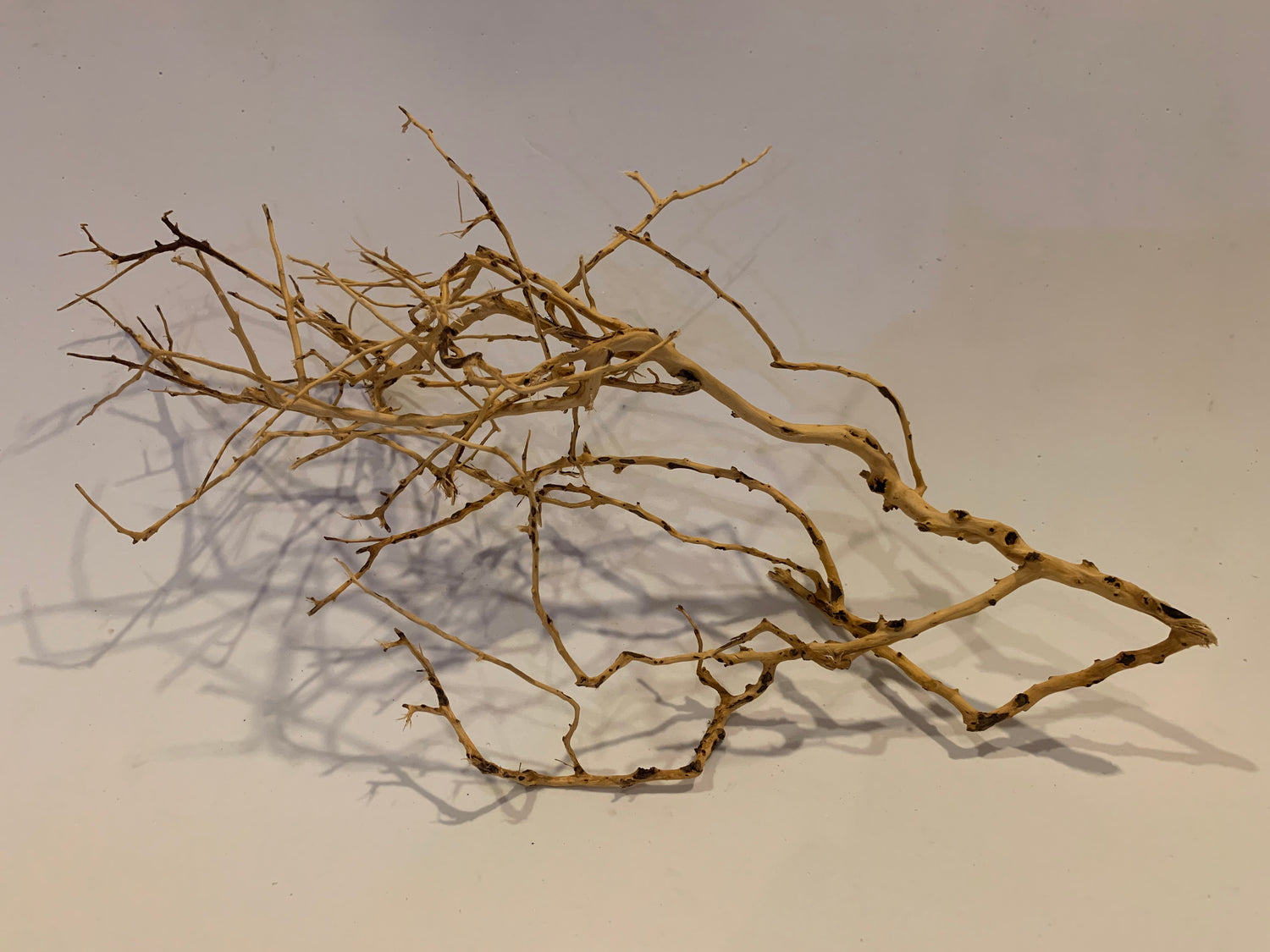 Scaping Twigs