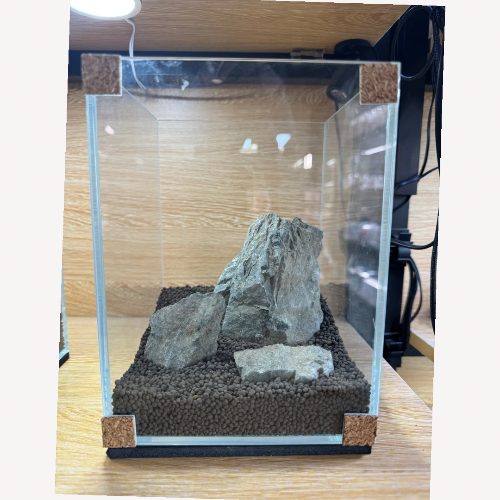 1515 Betta Scape 2