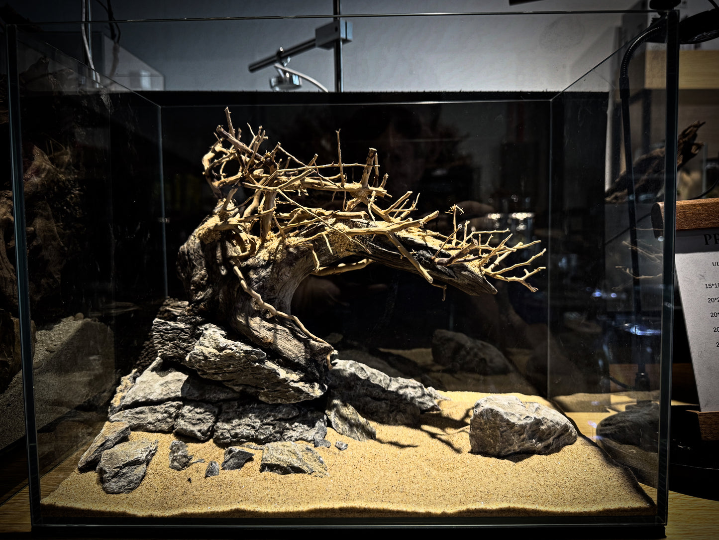 36P Bonsai Scape (No Equipment)