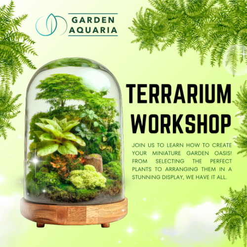 Basic Terrarium Workshop 15x15.5cm