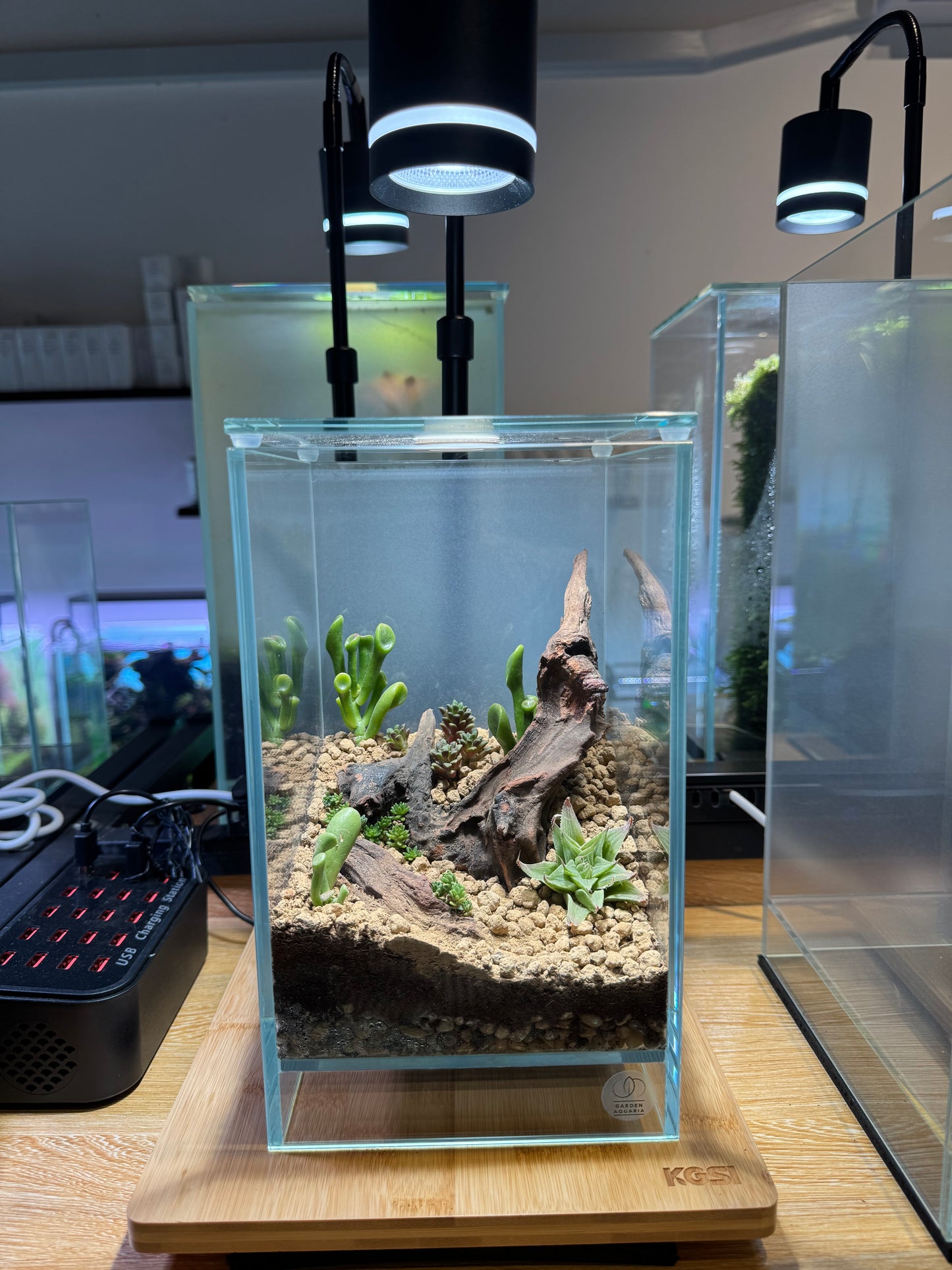 Terrarium Set 02 (Ready to Enjoy)