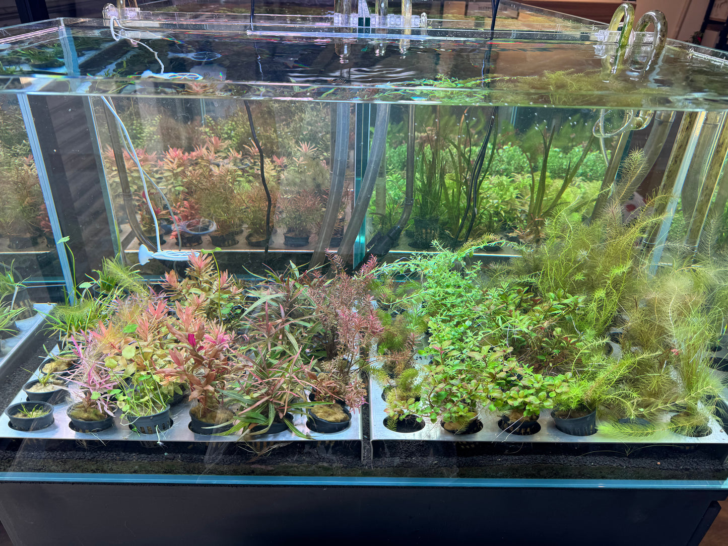 USED ITEM - Ultra Clear Glass 90cm Aquarium