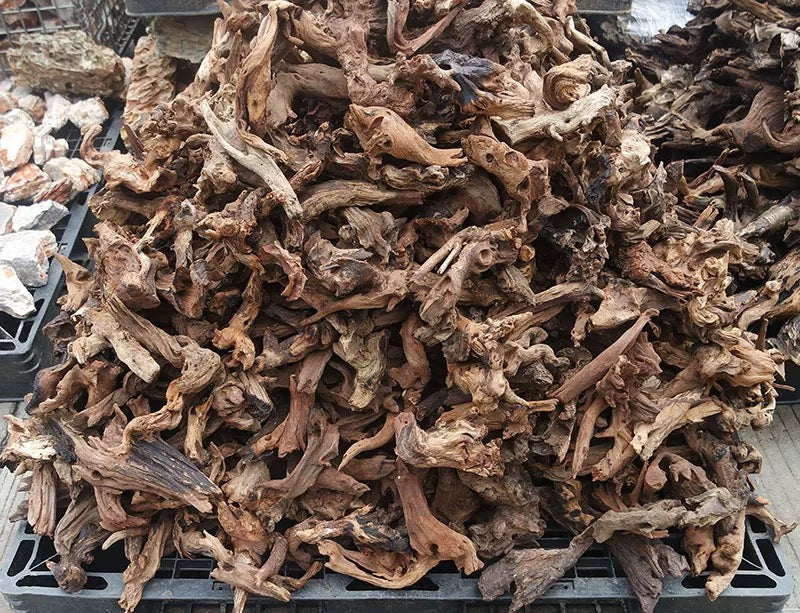 Malaysian Driftwood per KG