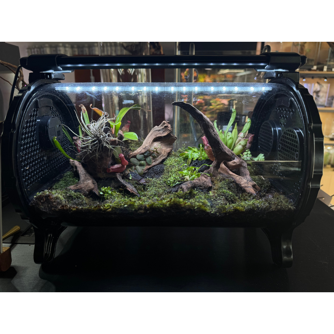 Bioloark HZ-180 Carnivorous