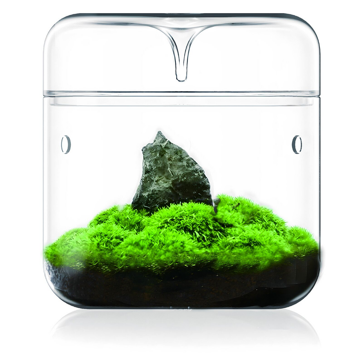 Bioloark Luji Glass Cup