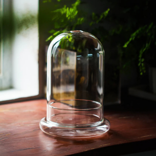 Cloche Glass Dome Planter