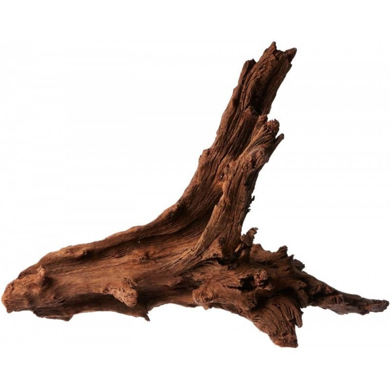 Malaysian Driftwood per KG