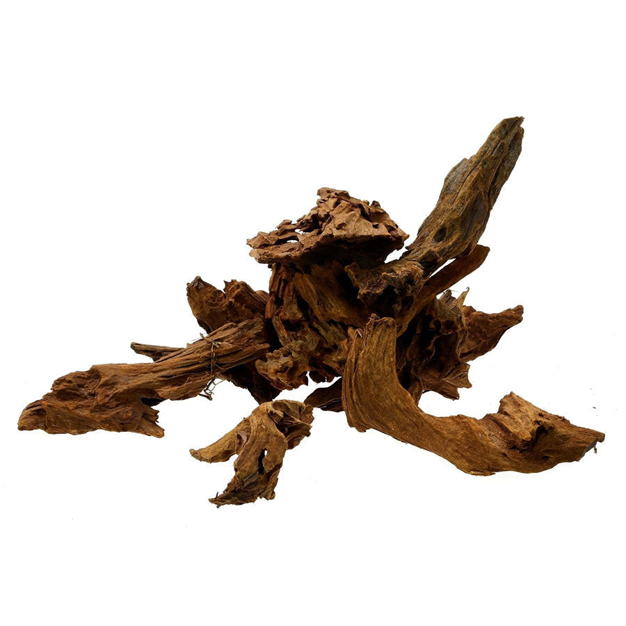 Malaysian Driftwood per KG