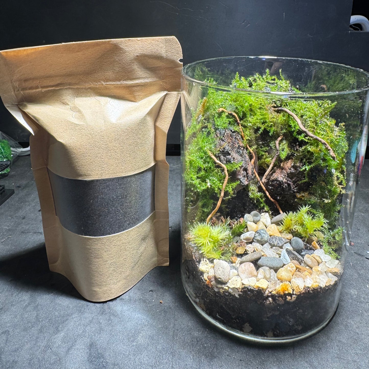 Modelling Soil 75g