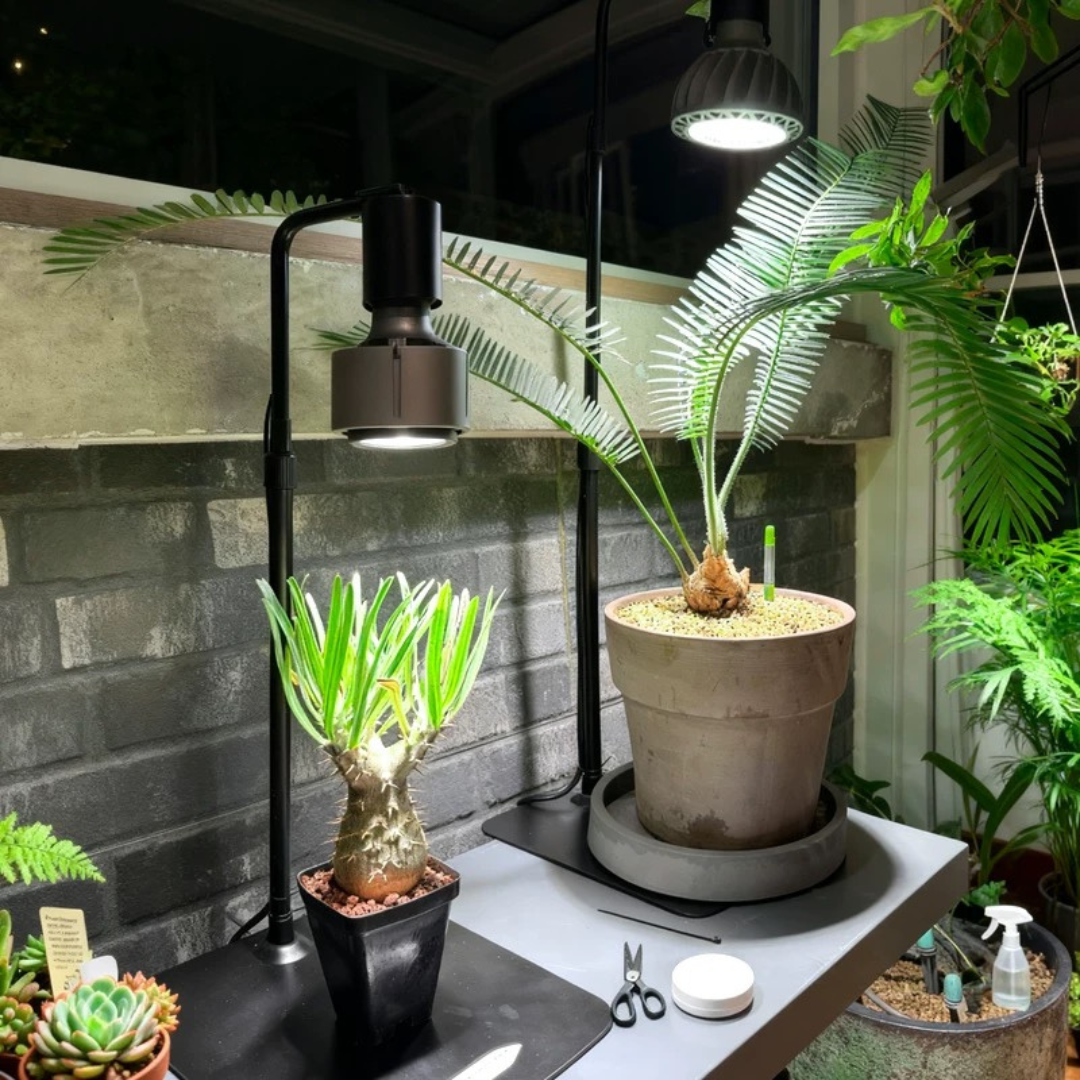 GLTX Desktop Plant Grow Light