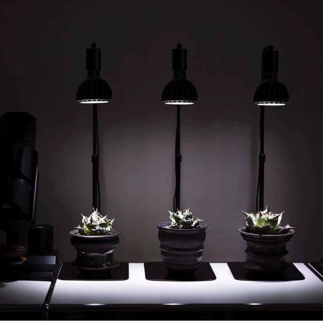 GLTX Desktop Plant Grow Light