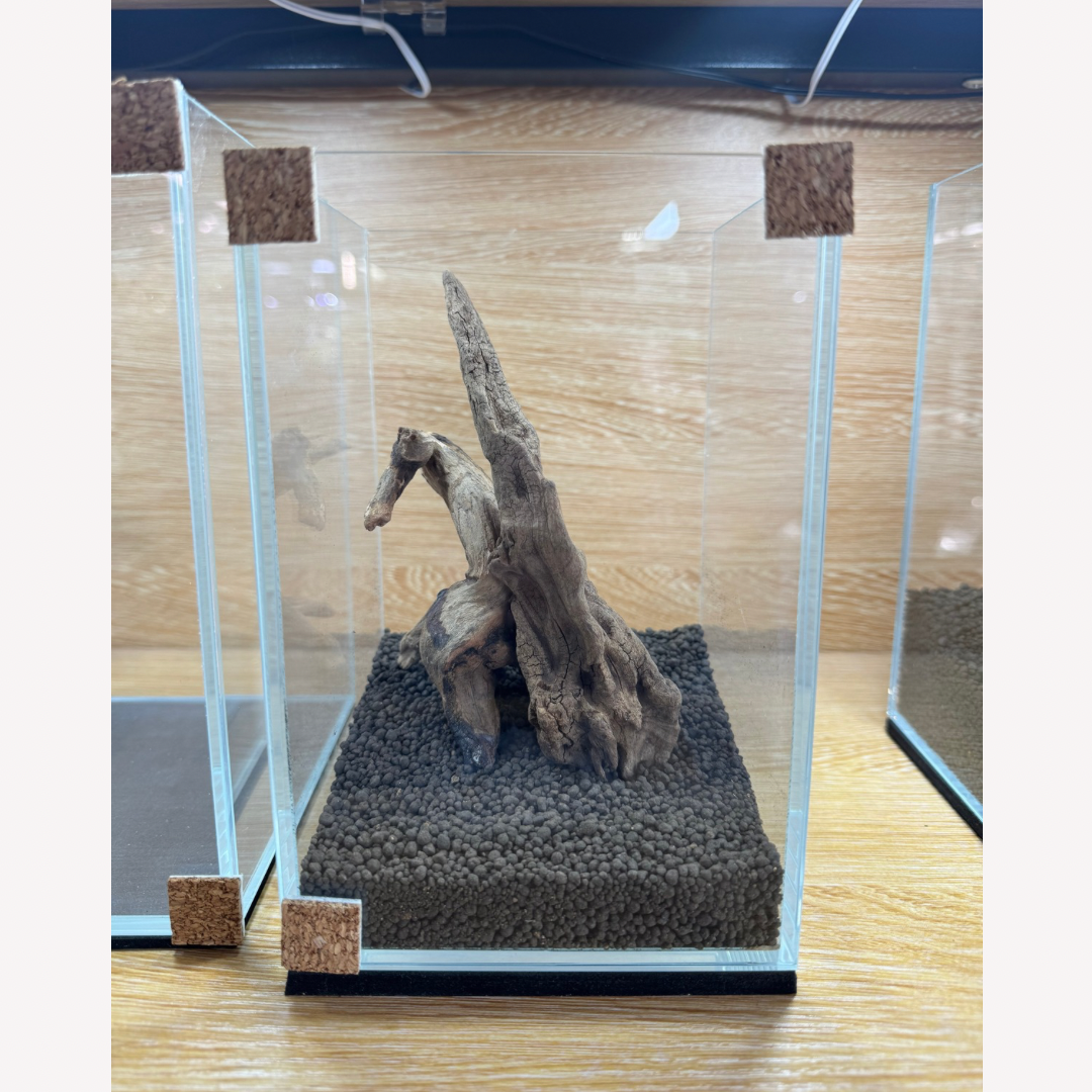 1212 Betta Tank