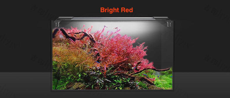 Jiyin Aquatic Plants LED Light