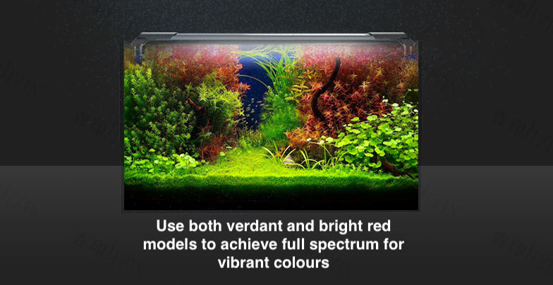 Jiyin Aquatic Plants LED Light