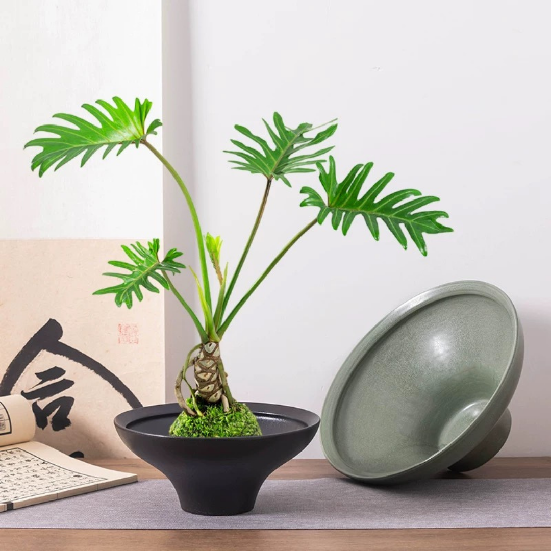 Kokedama Bowl