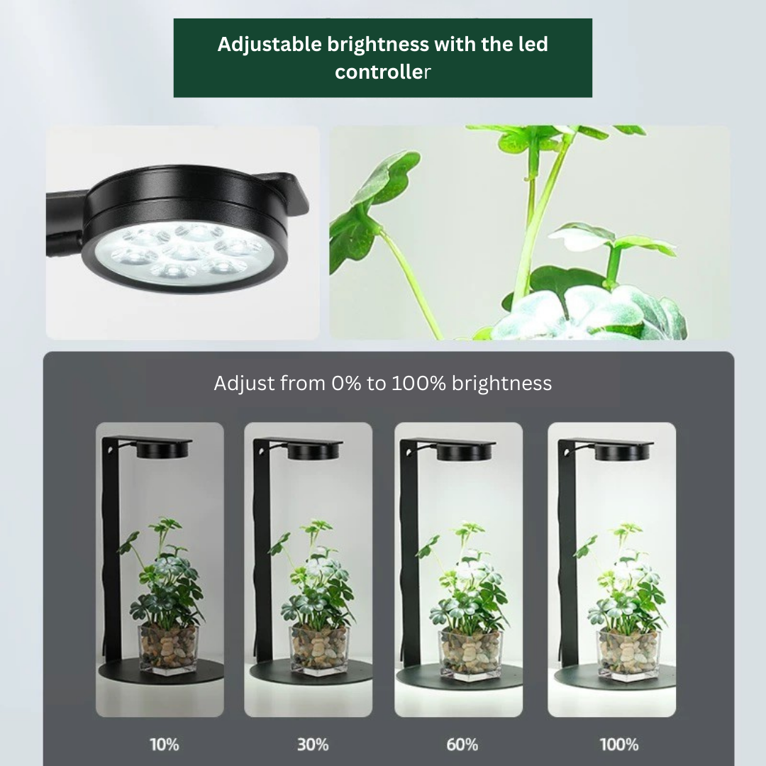 Magnetic LED with Stand