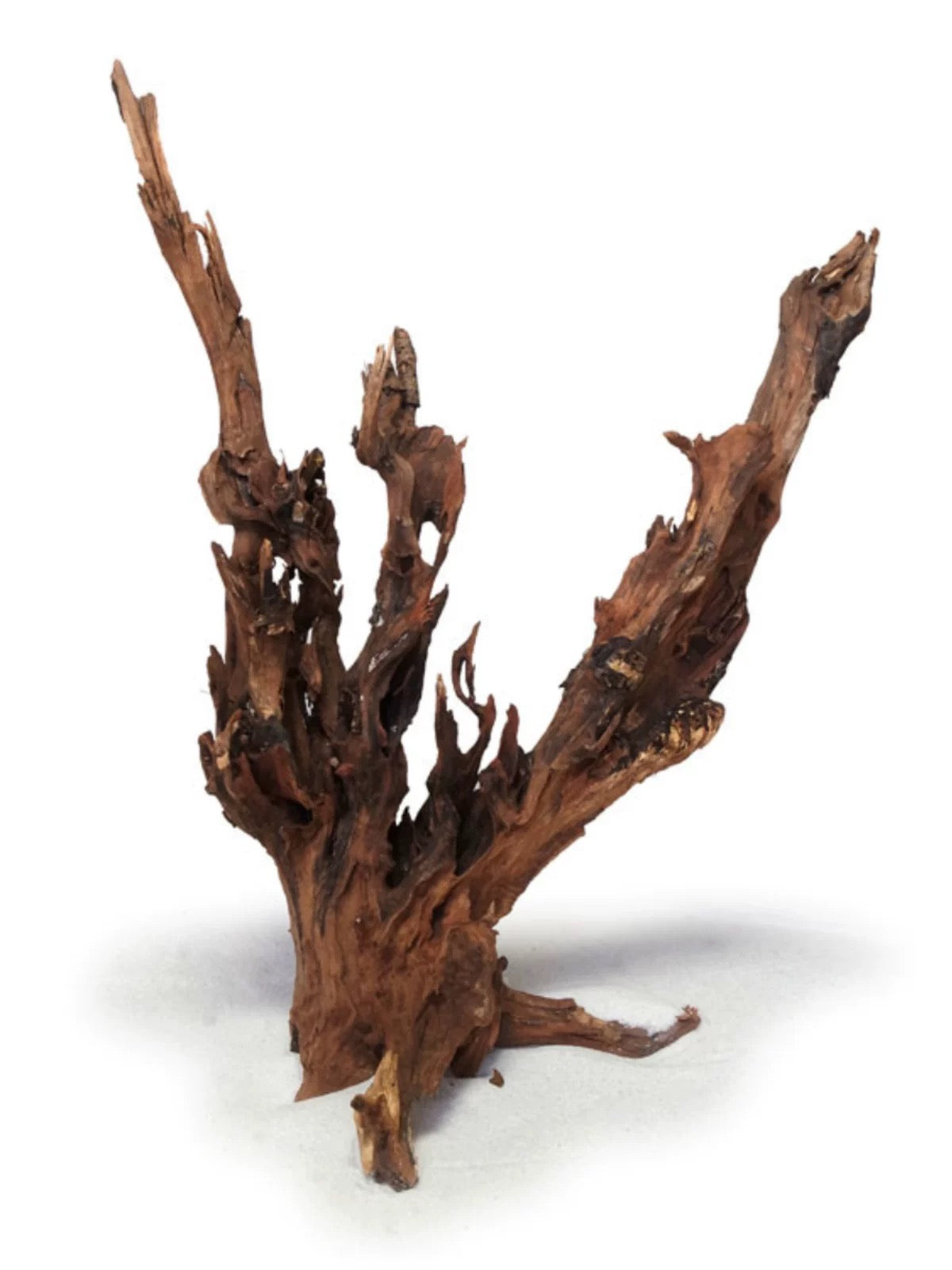 Malaysian Driftwood per KG