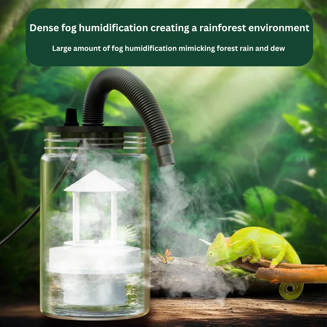 Mini Humidifier