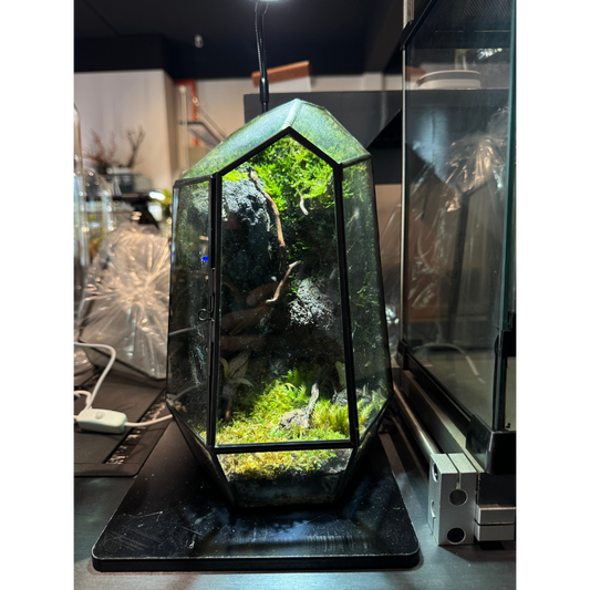 Prism Terrarium Set (Size M)