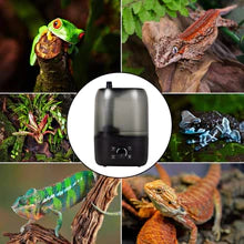 Reptizoo 4L Digital Timing Humidifier